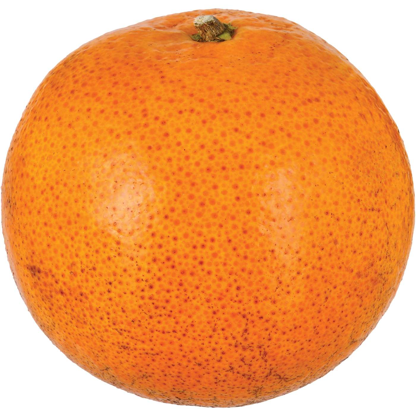 Fresh Tangerines - Shop Citrus at H-E-B