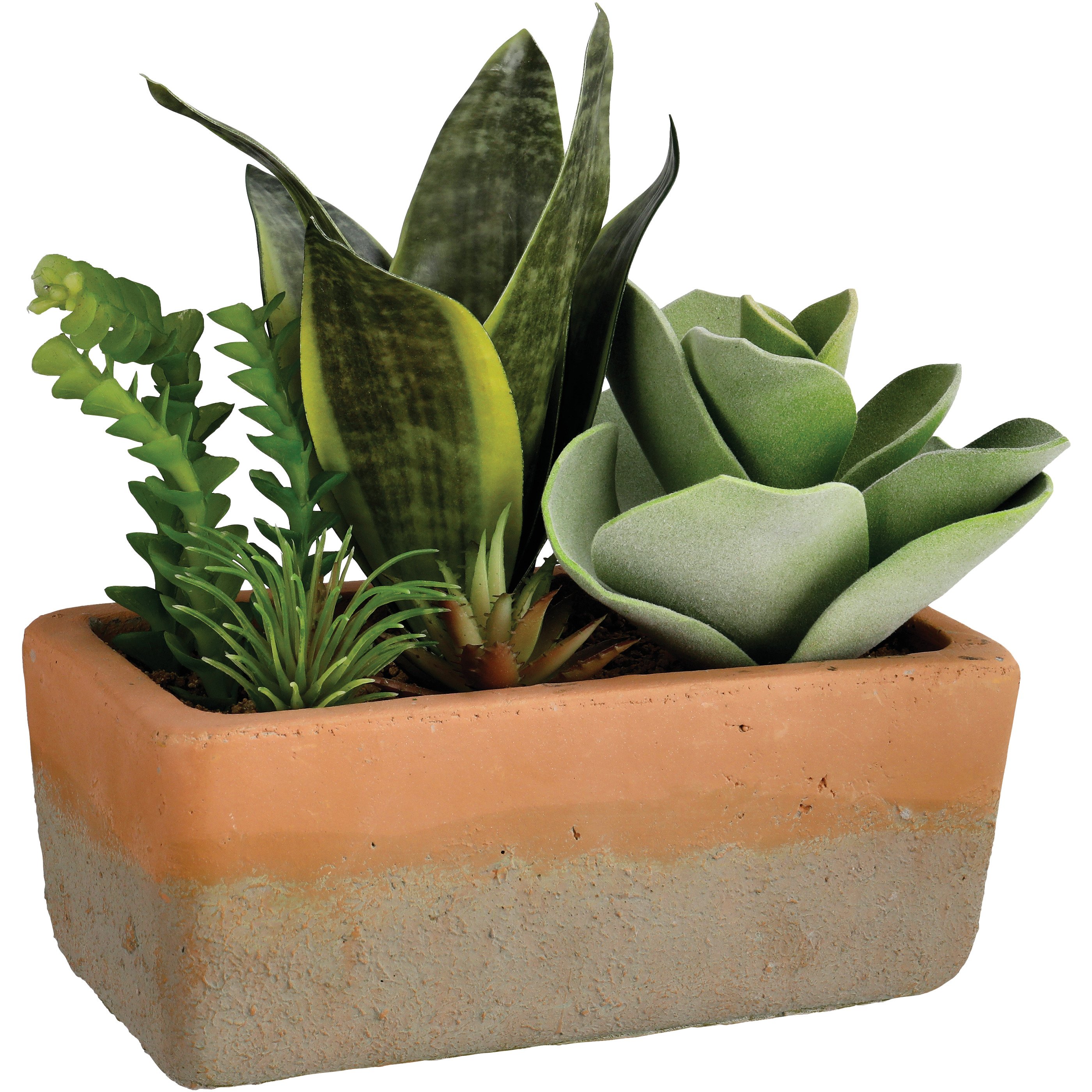 Haven + Key Faux Botanical Succulents in Terracotta Planter Large