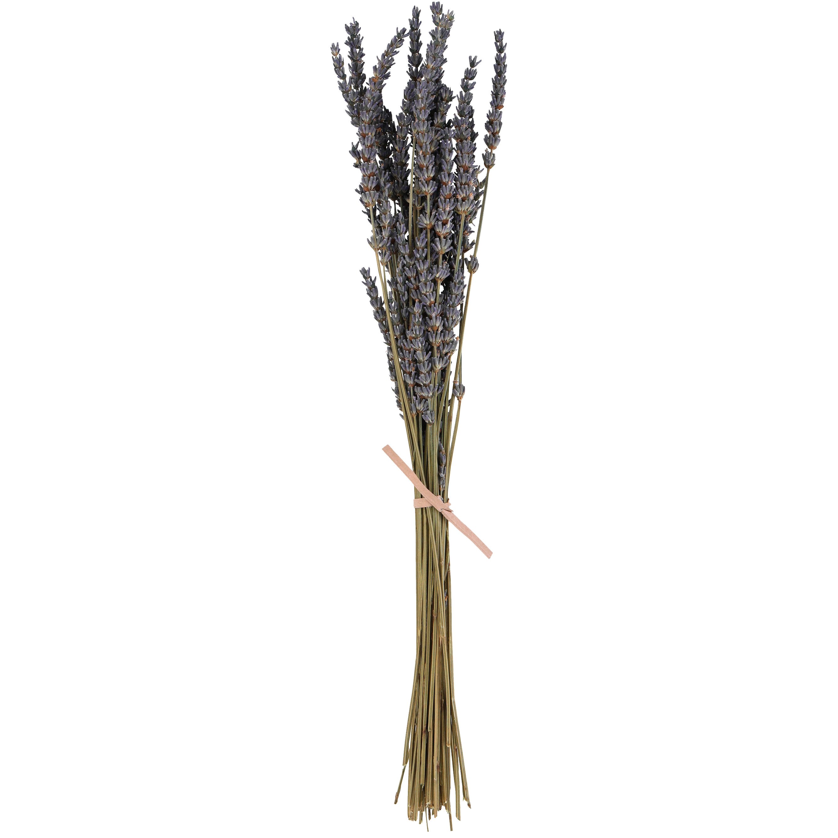 Haven + Key Dried Botanical Lavender Grass Bundle