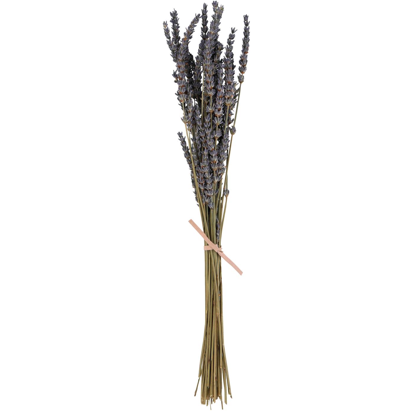 Haven + Key Dried Botanical Lavender Grass Bundle; image 1 of 2