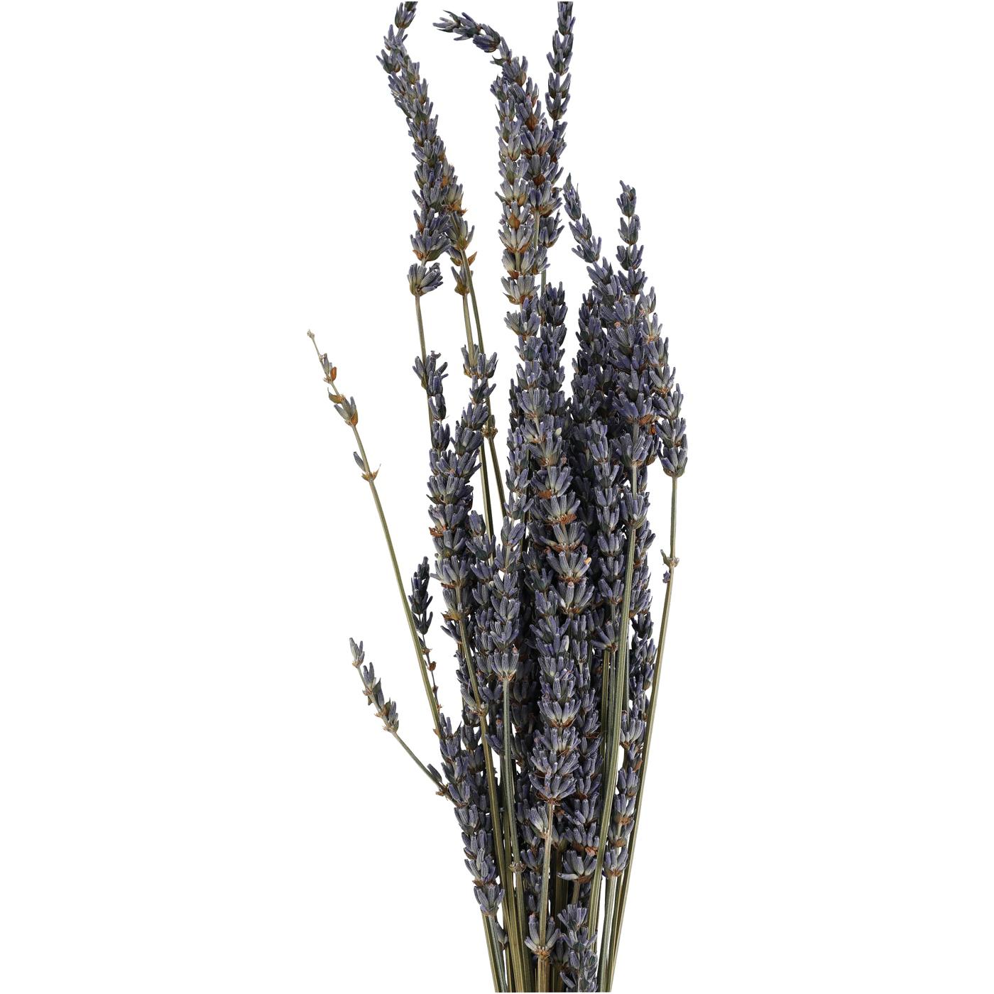 Dried Lavender Stems (Flowers), Weir's Lane Lavender & Apiary
