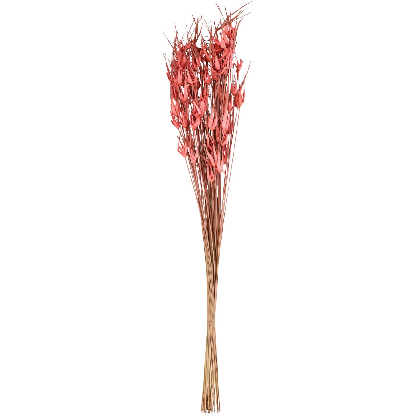 Haven + Key Dried Botanical Straw Grass Bundle - Mauve; image 1 of 2