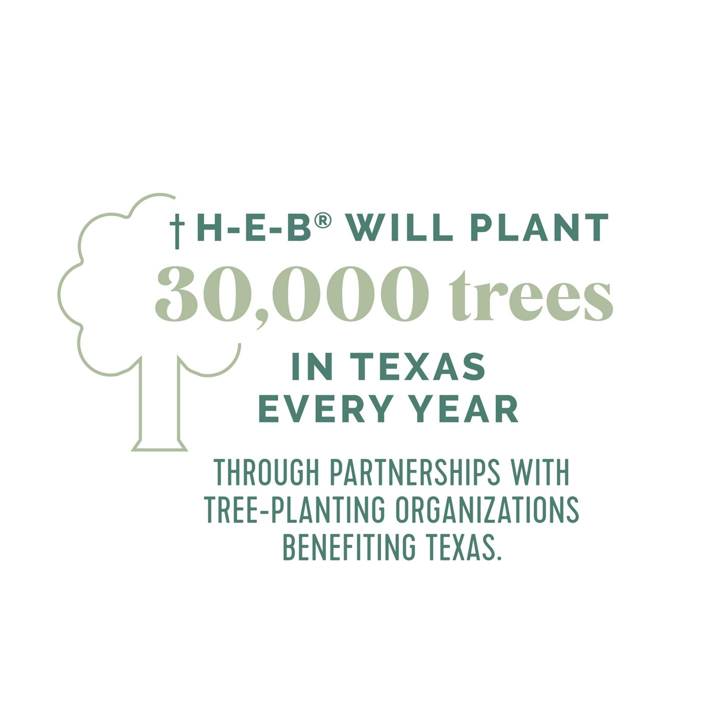 Field & Future by H-E-B Strong & Absorbent Paper Towels; image 3 of 5