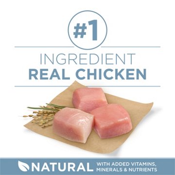 Purina ONE Plus Joint Health Formula Natural Dry Dog Food, 16.5 lb