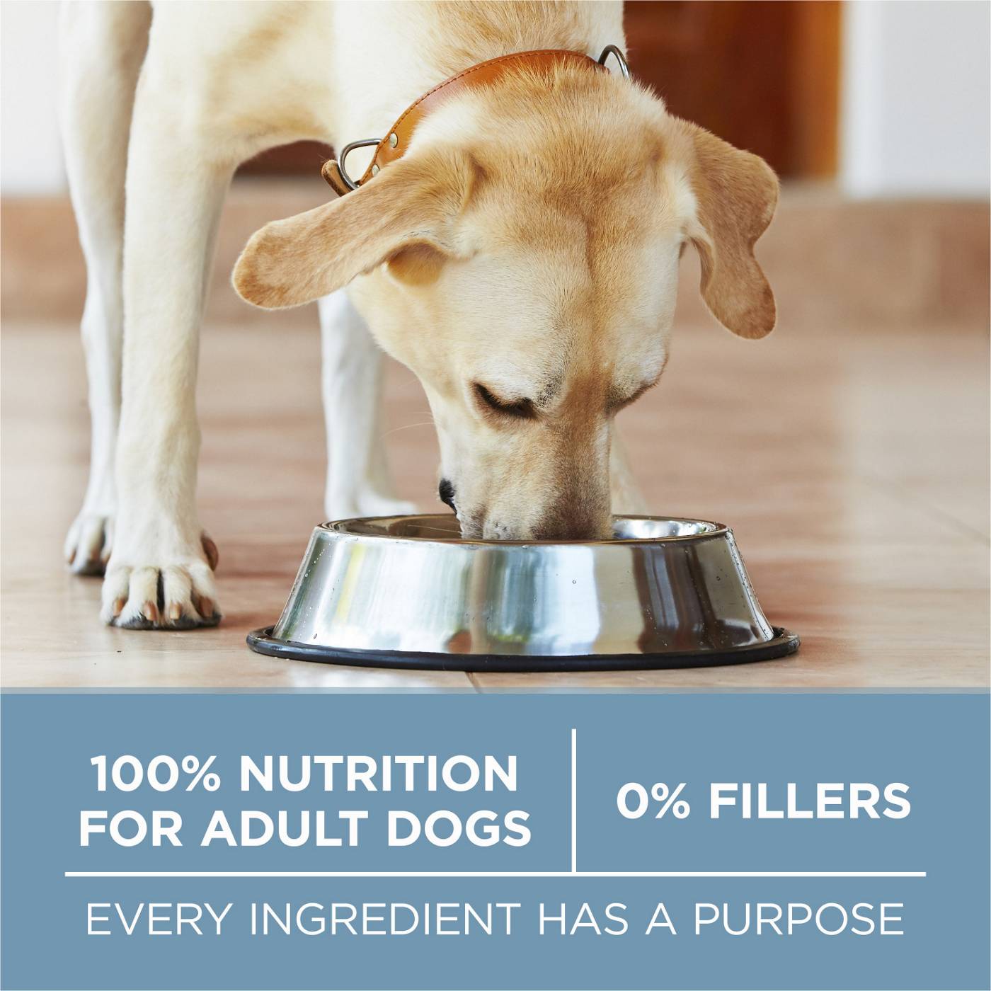 Purina ONE Purina ONE Plus Joint Health Formula Natural With Added Vitamins, Minerals and Nutrients Dry Dog Food; image 3 of 6