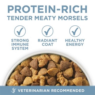 Purina ONE Plus Joint Health Formula Natural Dry Dog Food, 16.5 lb