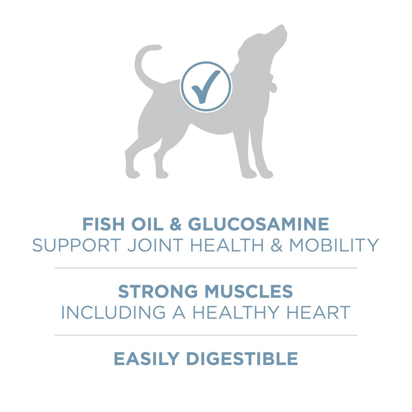 Purina ONE Purina ONE Plus Joint Health Formula Natural With Added Vitamins, Minerals and Nutrients Dry Dog Food; image 5 of 6
