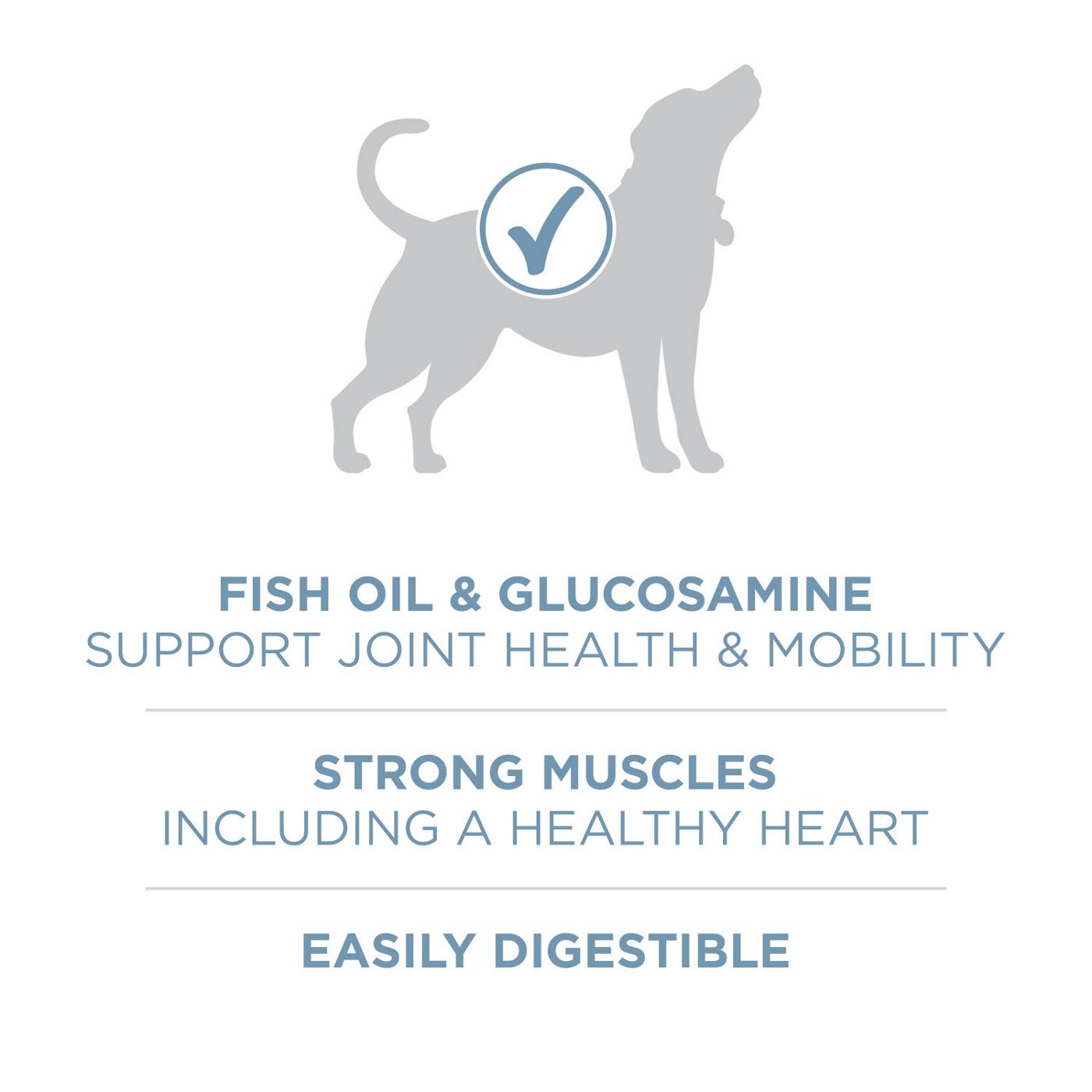 Purina ONE Plus Joint Health Formula Natural Dry Dog Food; image 7 of 8