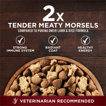 Purina ONE True Instinct High Protein Dry Dog Food Formula Natural- Real Chicken and Duck, 15 lb