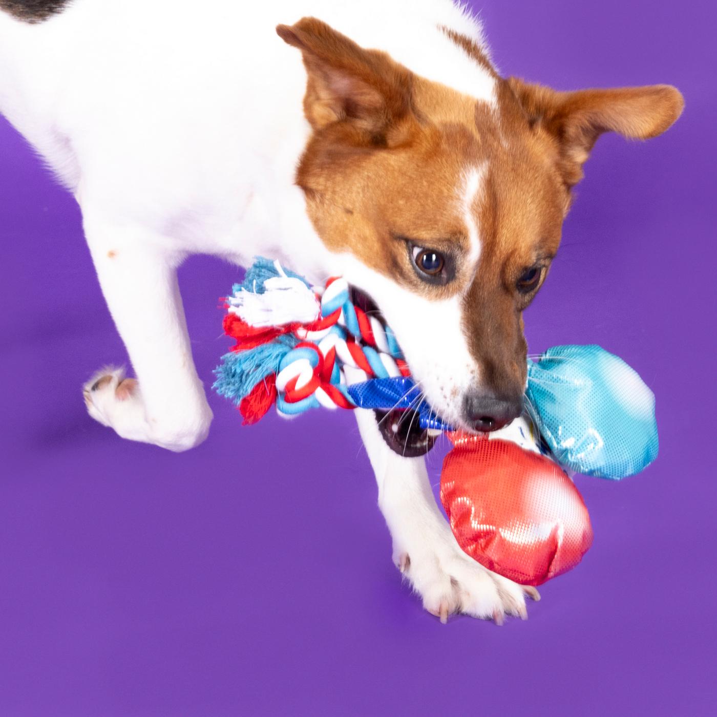 Woof & Whiskers Balloon Punch With Rope; image 2 of 5