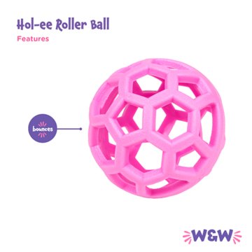 Woof & Whiskers Hol-ee Roller Ball Dog Toy