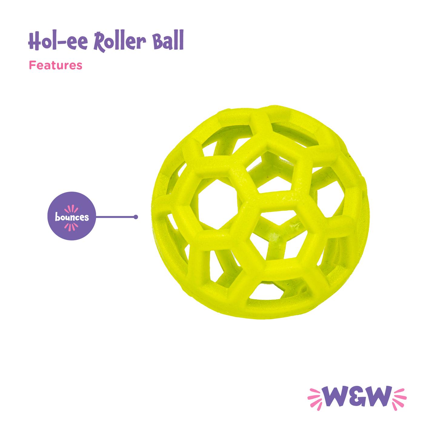 Woof & Whiskers Hol-ee Roller Ball; image 4 of 5