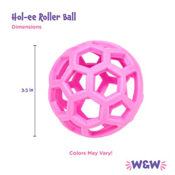 Woof & Whiskers Hol-ee Roller Ball Dog Toy