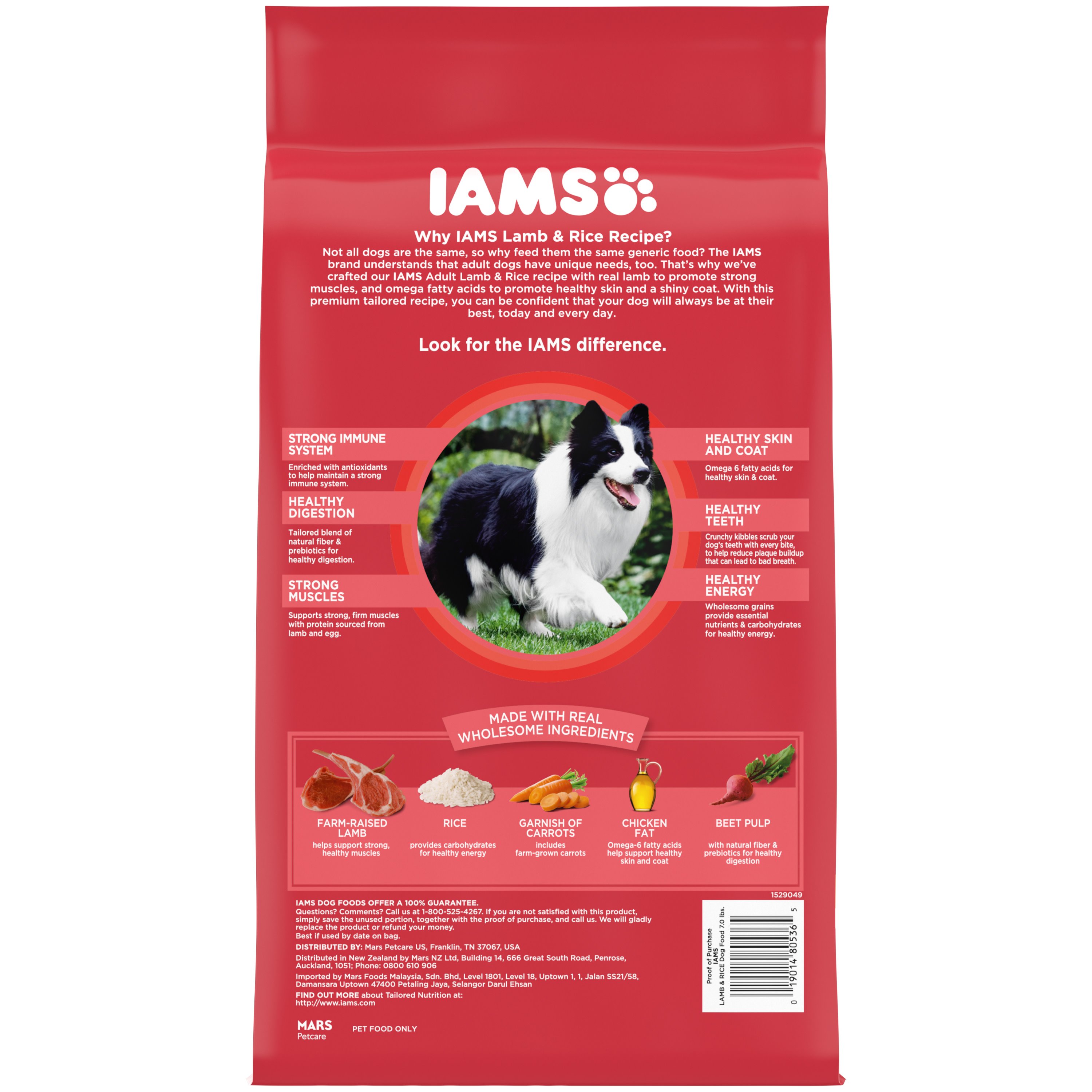 Dog Weight: Know The Ideal Weight For Your Dog - IAMS Malaysia