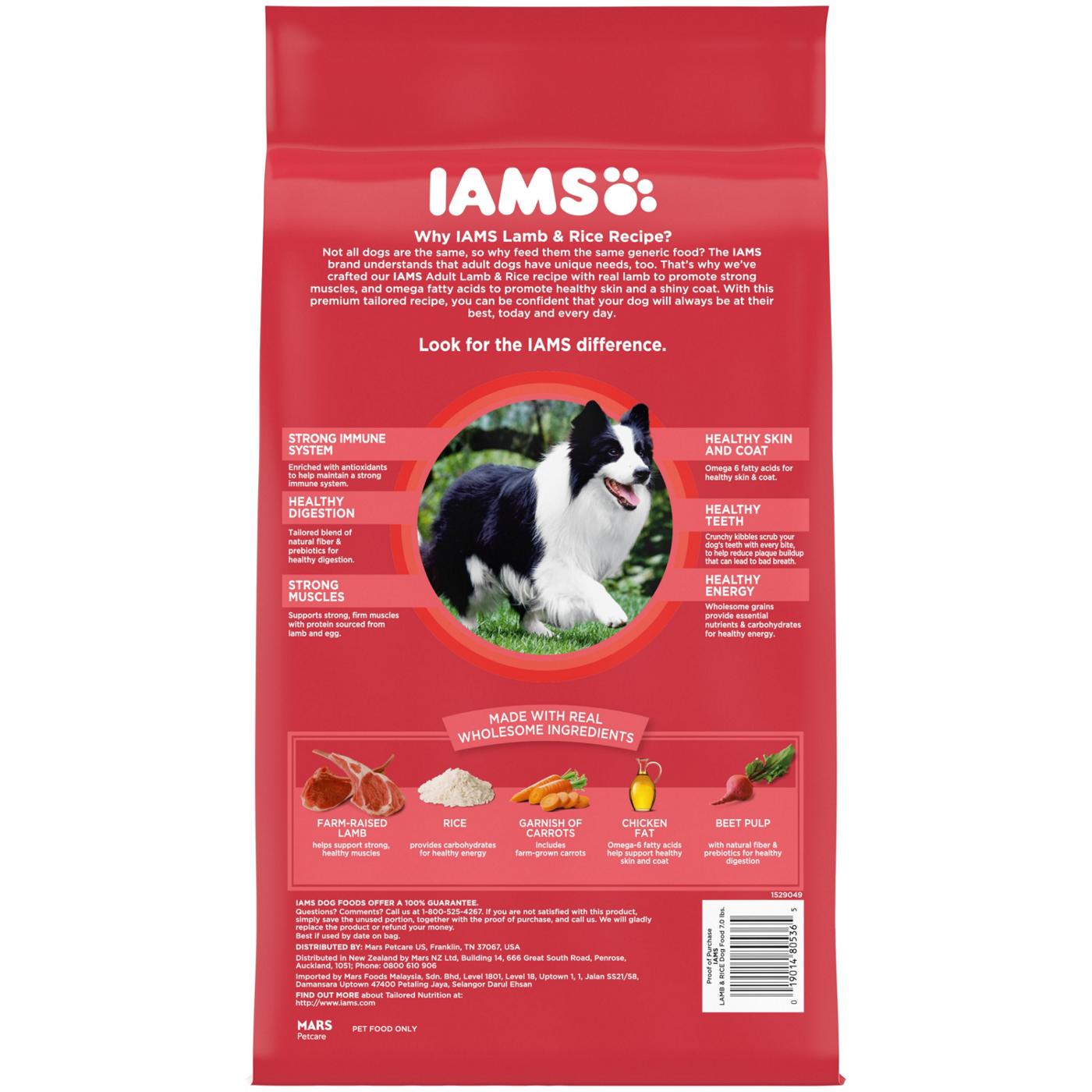 IAMS Minichunks Adult Dry Dog Food Lamb & Rice Recipe Dog Kibble; image 4 of 5