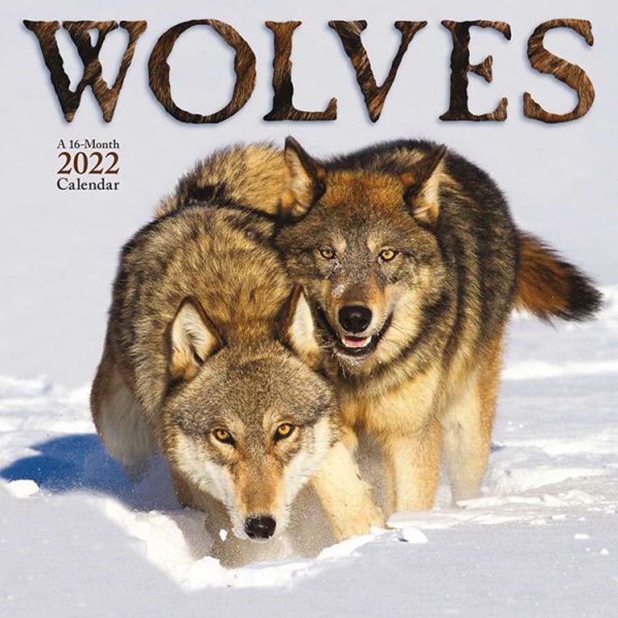 Trends International Wolves 2022 Wall Calendar - Shop School & Office Supplies At H-E-B