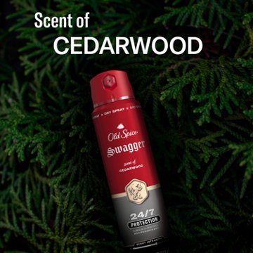 Old Spice Sweat Defense Antiperspirant Dry Spray - Stronger Swagger