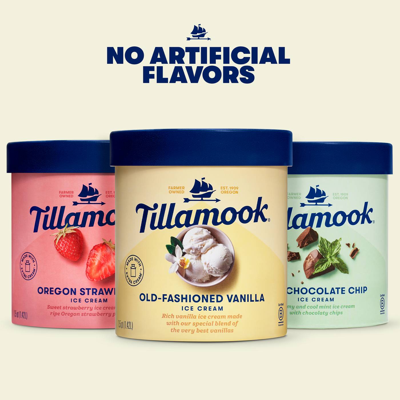 Tillamook Mint Chocolate Chip Ice Cream; image 4 of 5