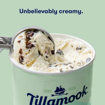 Tillamook Mint Chocolate Chip Ice Cream