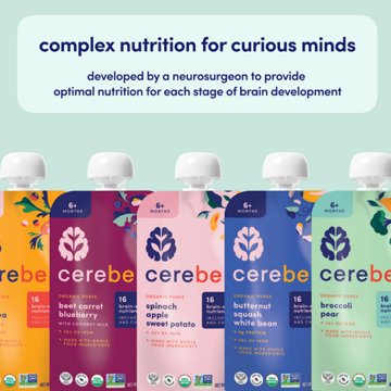 Cerebelly Organic Baby Puree Pouch - Sweet Potato & Mango