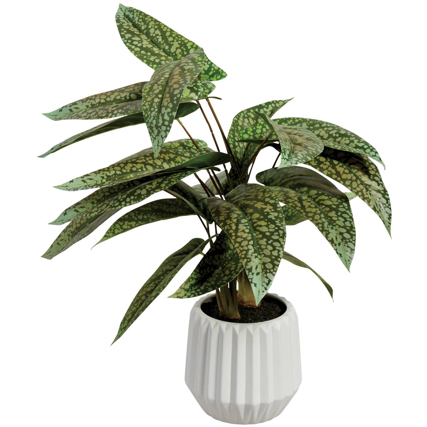 Destination Holiday Faux Aglaonema Plant; image 1 of 2