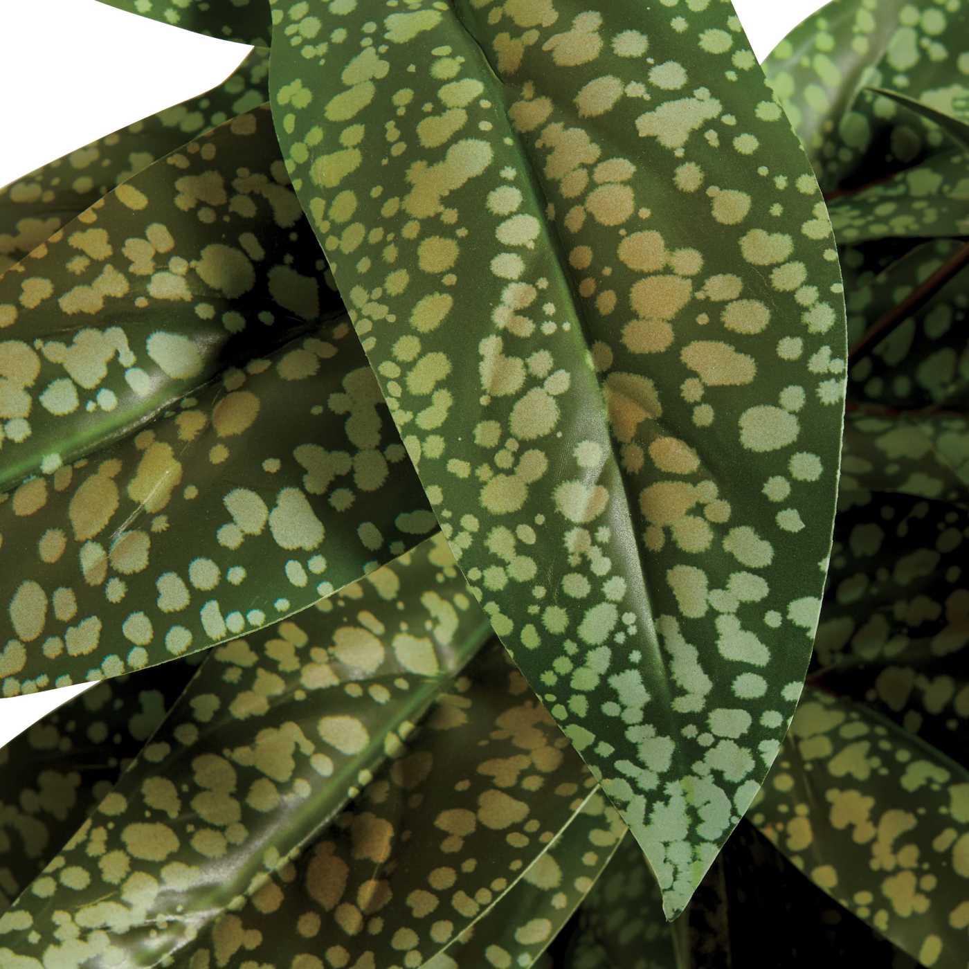 Destination Holiday Faux Aglaonema Plant; image 2 of 2