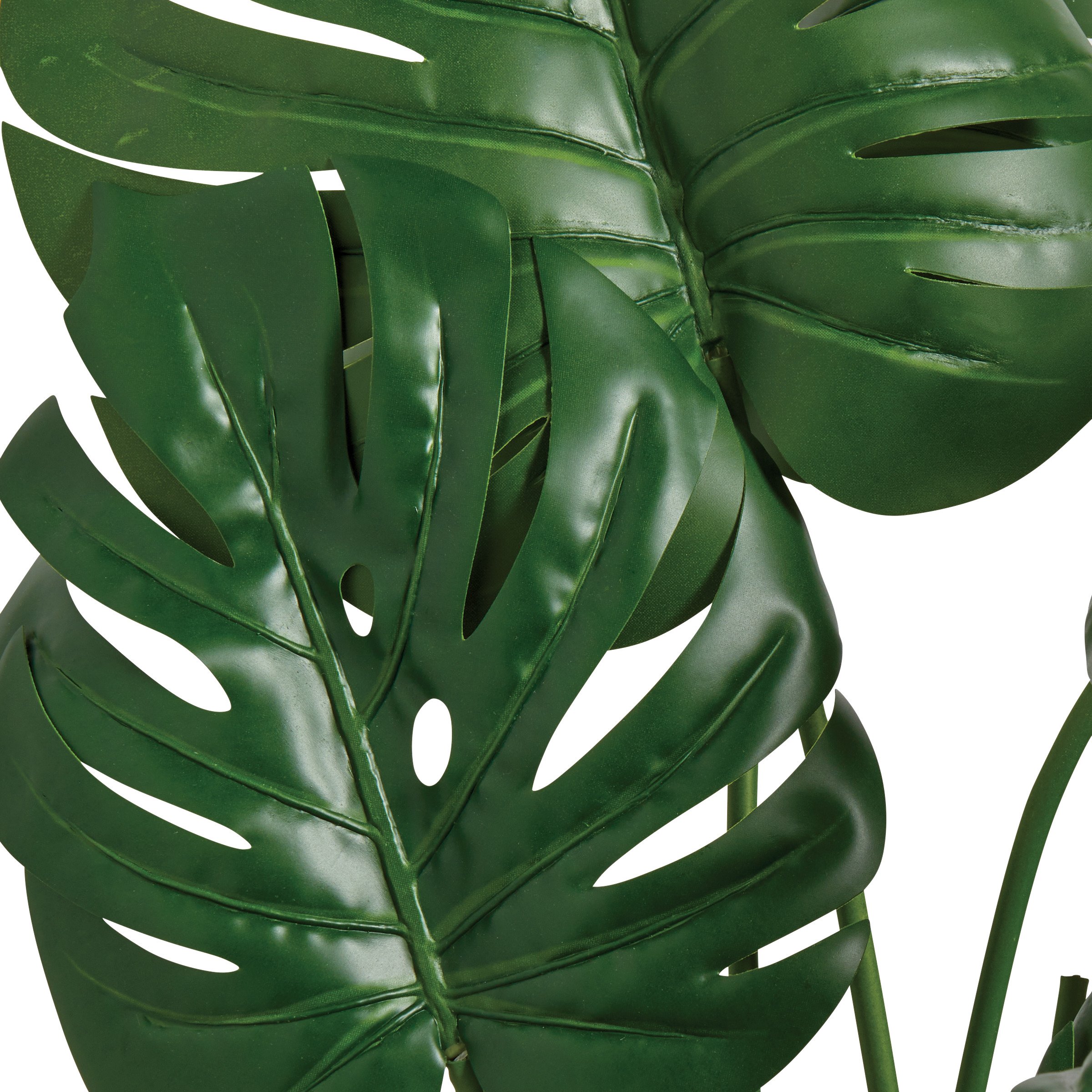 monstera plant trellis Monstrella