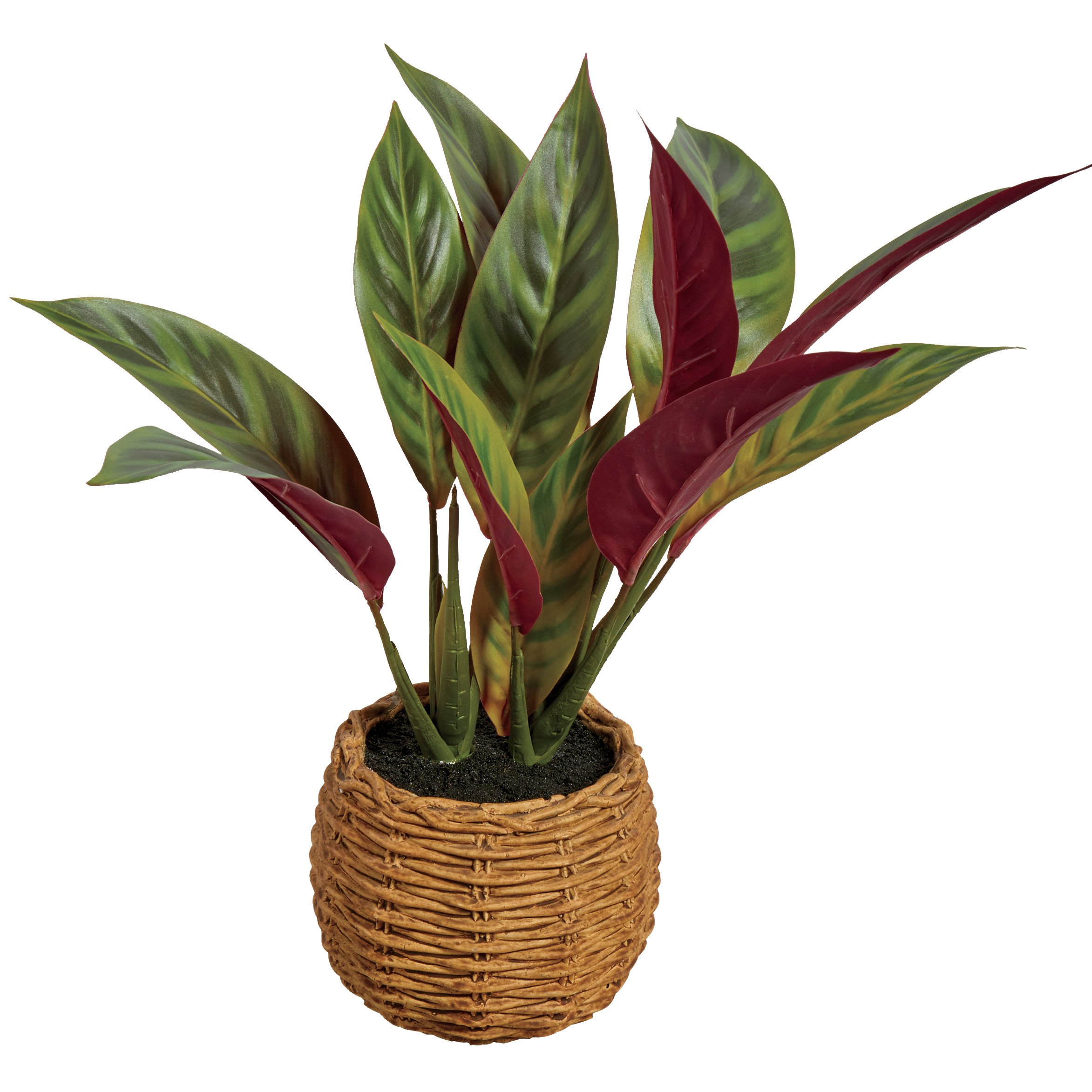 Destination Holiday Faux Cordyline Plant Shop Seasonal Decor at HEB