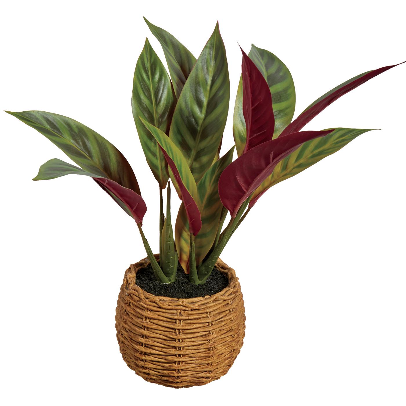 Destination Holiday Faux Cordyline Plant; image 1 of 3