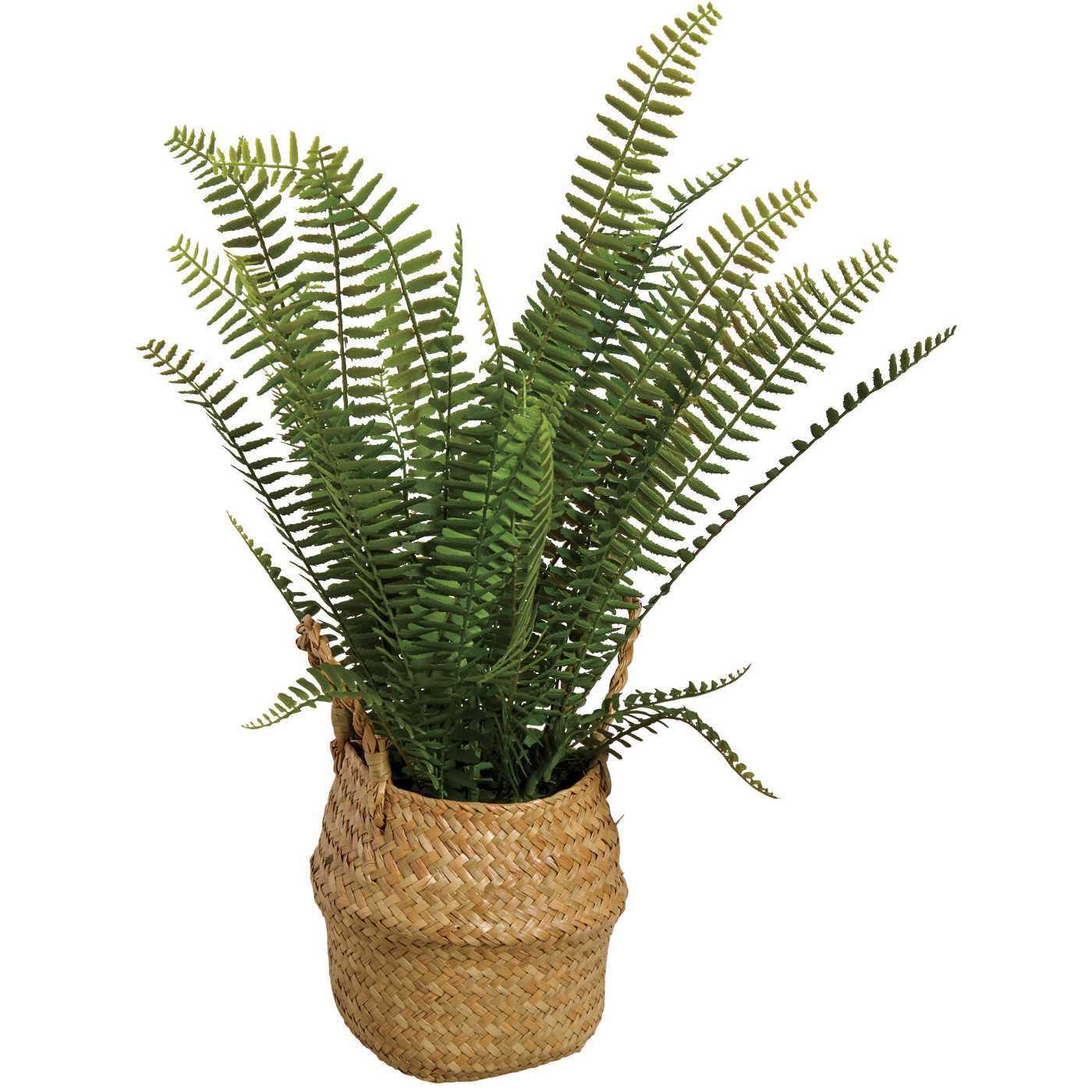 Destination Holiday Faux Fern Plant; image 1 of 2