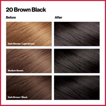 Revlon ColorSilk Hair Color - 20 Brown Black
