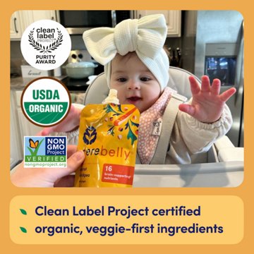 Cerebelly Organic Baby Puree Pouch - Carrot Chickpea with Ginger
