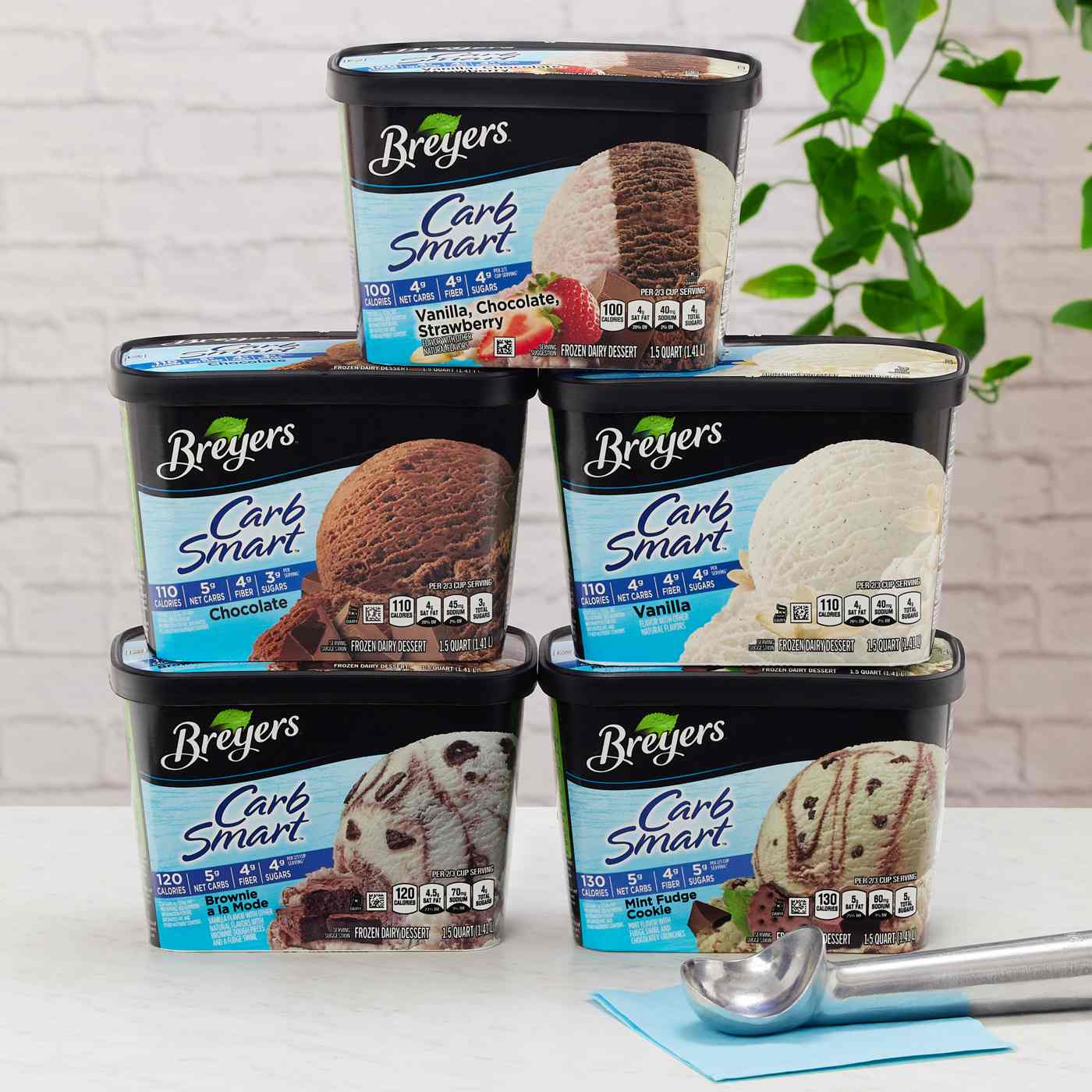 Breyers CarbSmart Frozen Dairy Dessert Mint Fudge Cookie Shop Ice