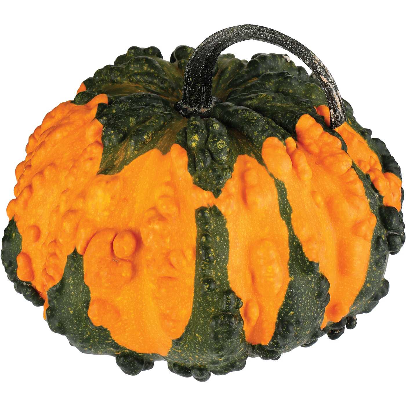 H-E-B Texas Roots Frankengourd Pumpkin; image 1 of 4