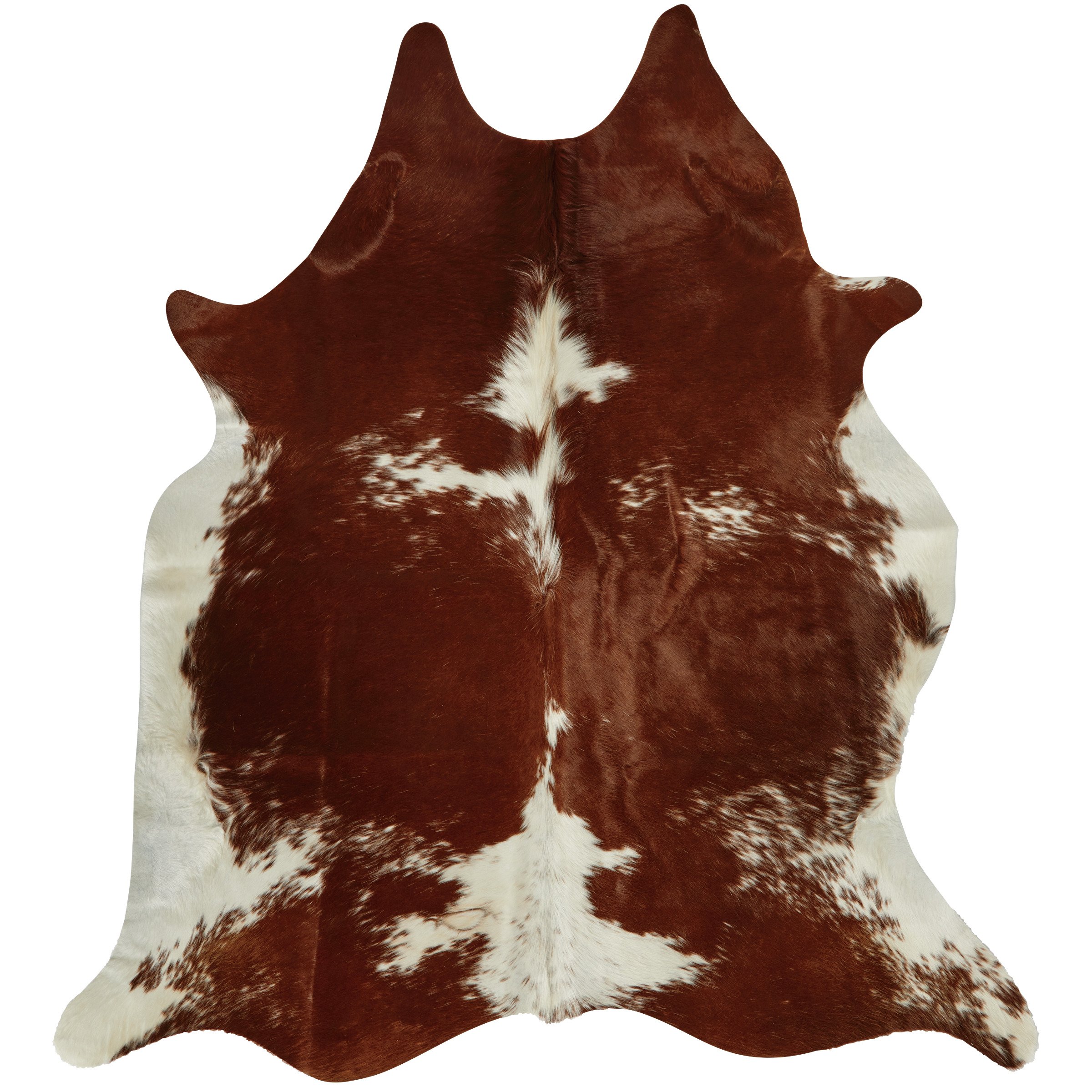 Texas Proud Cowhide Area Rug - Dark Red & White - Shop Rugs & mats at H-E-B