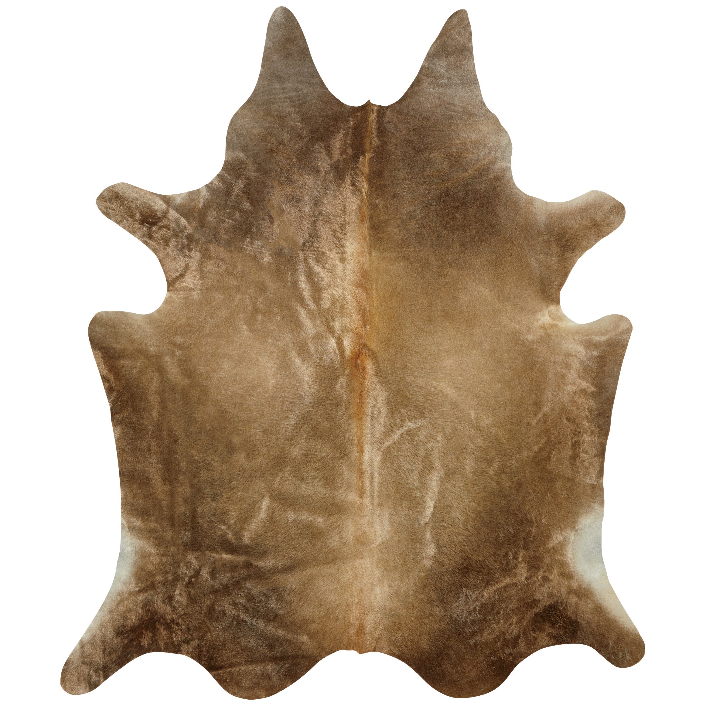 Texas Proud Cowhide Area Rug Champagne Shop Rugs & Mats at HEB