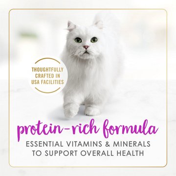 Fancy Feast Purina Tender Feast Classic Grain Free Wet Cat Food Pate - Beef and Liver