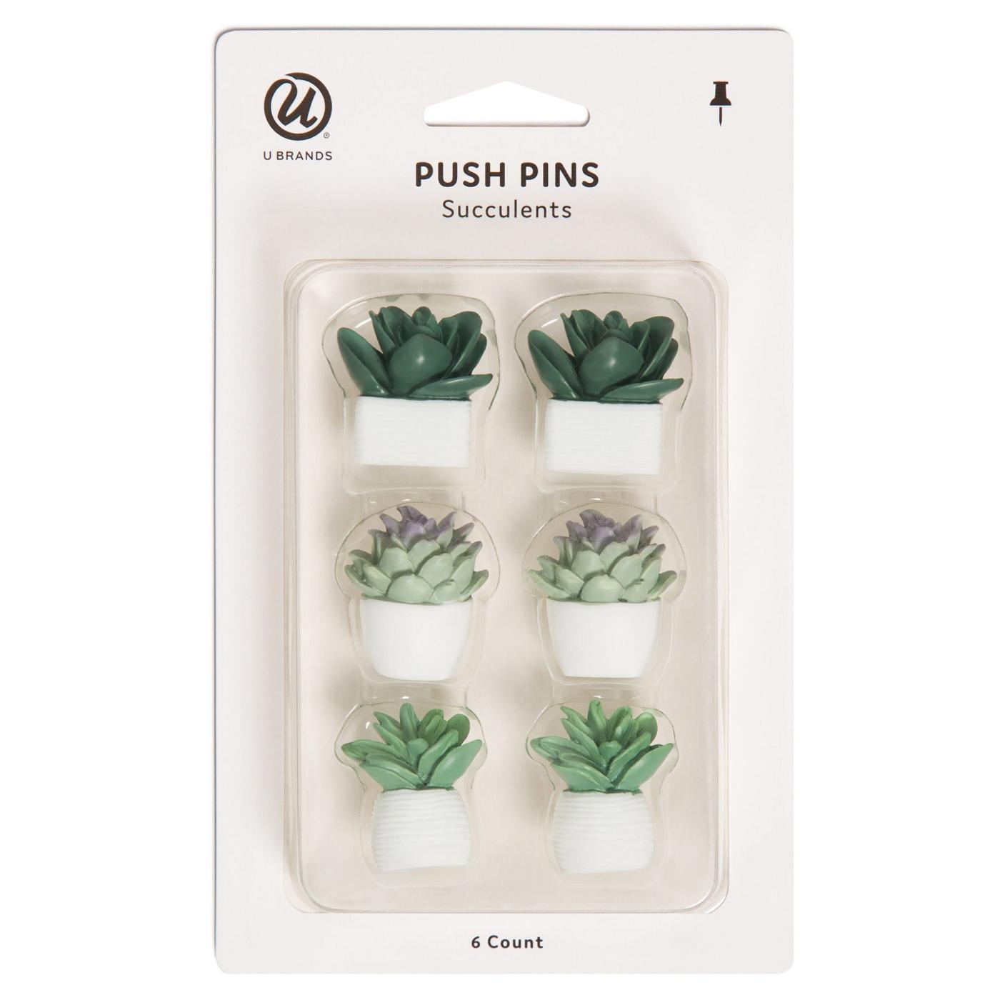 U Brands Push Pins - Potted Succulents; image 1 of 2