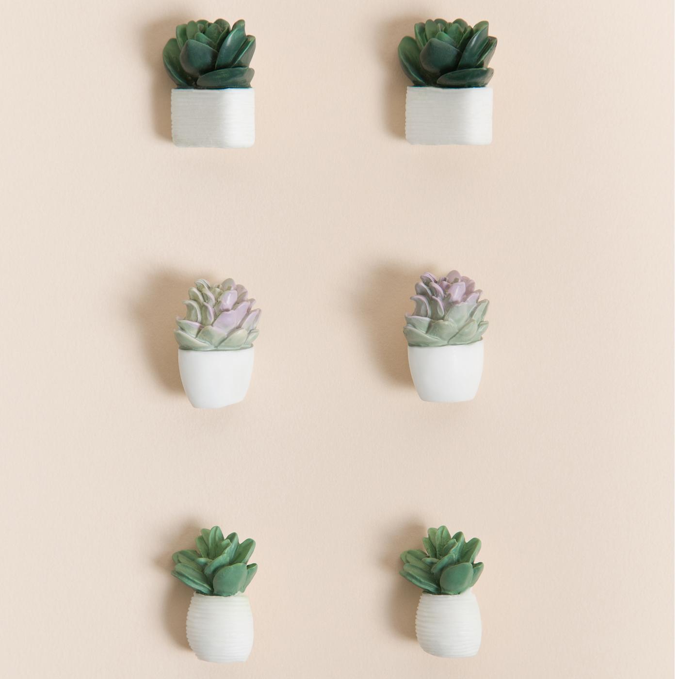 U Brands Push Pins - Potted Succulents; image 2 of 2