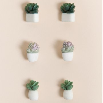 U Brands Push Pins - Potted Succulents, 6 ct