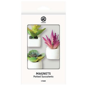 U Brands Magnets - Potted Succulents, 3 ct