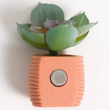 U Brands Magnets - Potted Succulents, 3 ct