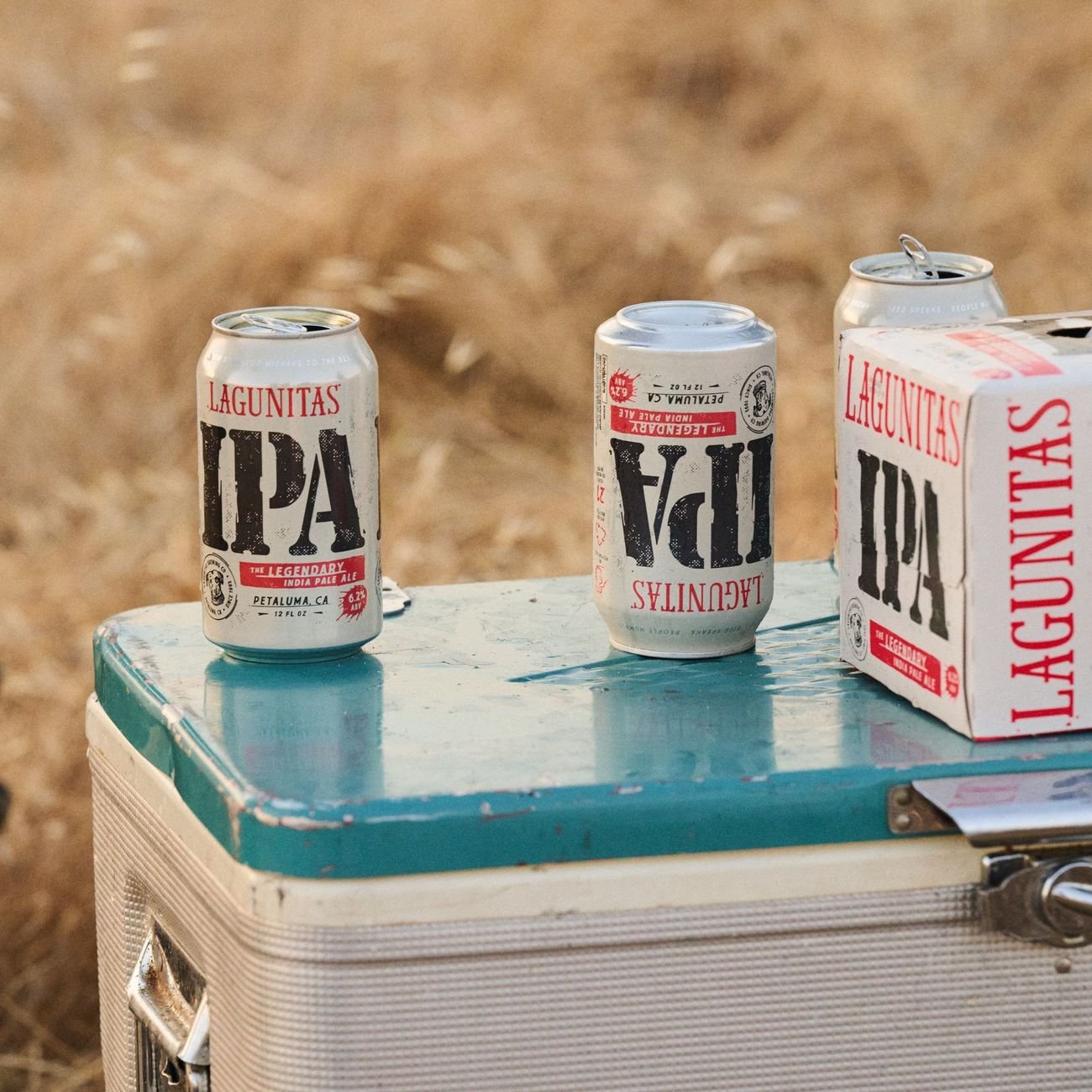 Lagunitas Brewing Co. IPA Craft Beer 6 pk Cans - Shop Beer at H-E-B