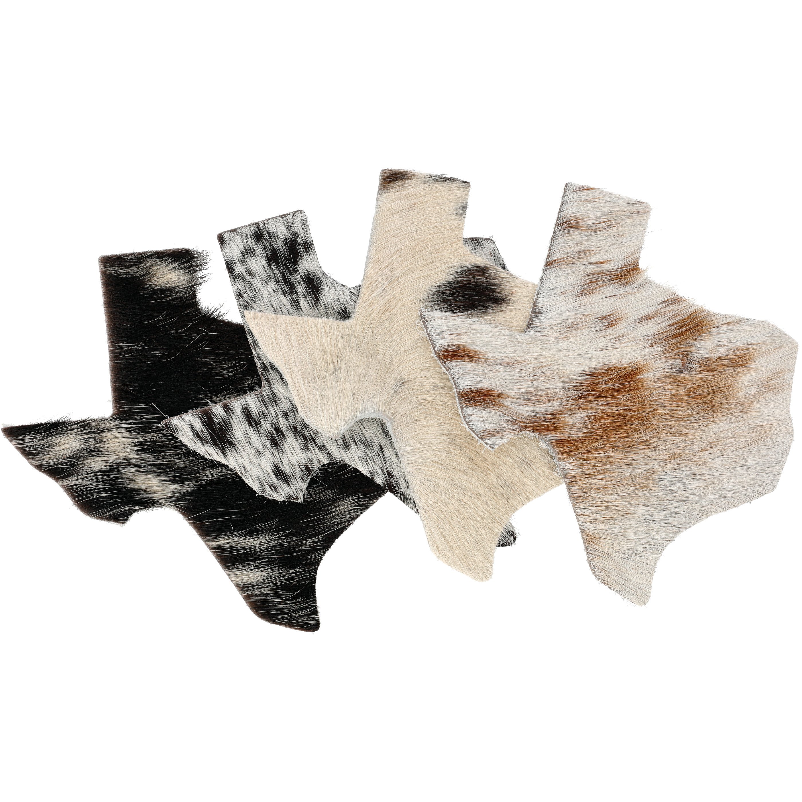 Texas Proud Lone Star State Cowhide Coasters Shop Seasonal decor at HEB
