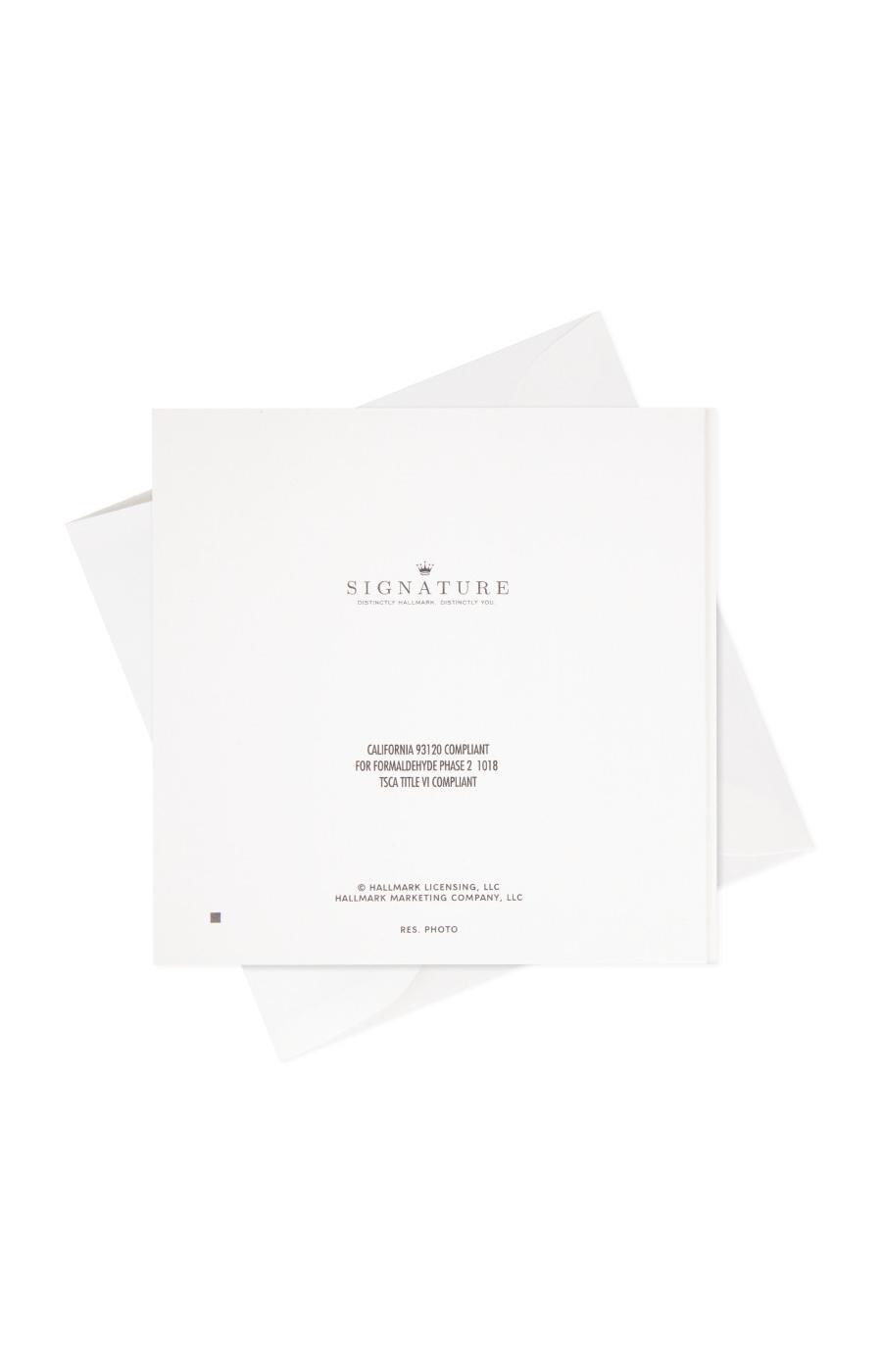 Hallmark Signature Love Oars Anniversary Card - E39 - Shop Invites ...
