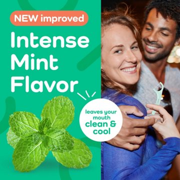 Plackers Micro Line Floss Picks - Intense Mint, Floss Fiber Made Without PTFE, 300 ct