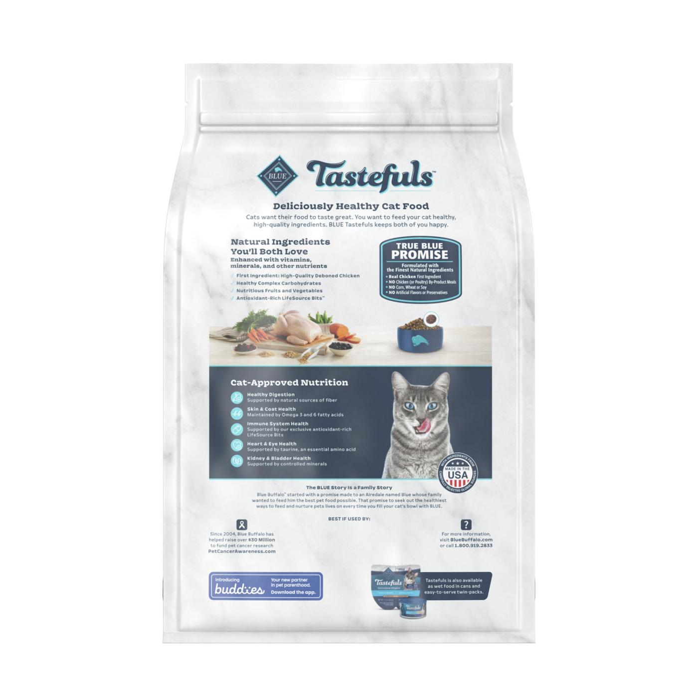 Blue Buffalo Tastefuls Indoor Natural Adult Dry Cat Food - Chicken; image 2 of 2