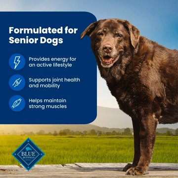 Blue Buffalo Life Protection Formula Senior Dog Food - Chicken, 5 lb