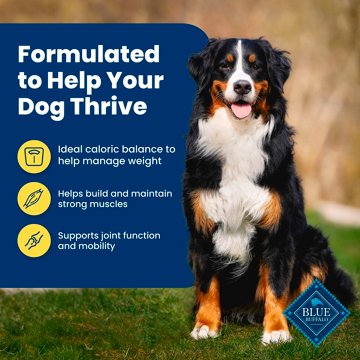 Blue Buffalo Life Protection Formula Healthy Weight Dry Dog Food