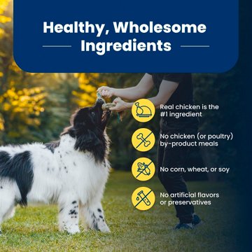 Blue Buffalo Life Protection Formula Healthy Weight Dry Dog Food